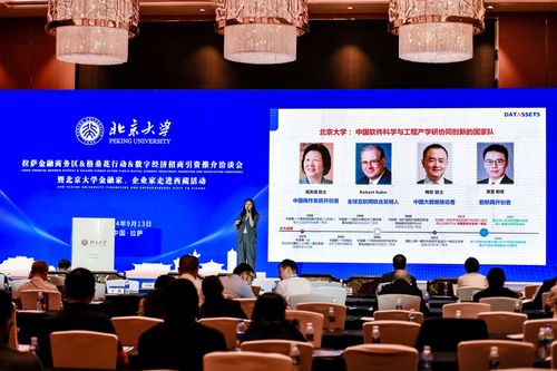 數字經濟新引擎 2024拉薩金融商務區格?；ㄐ袆诱猩桃Y洽談會啟航